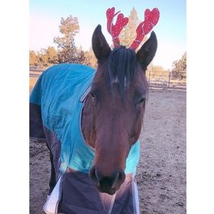 Meet your Posher, Mikaela